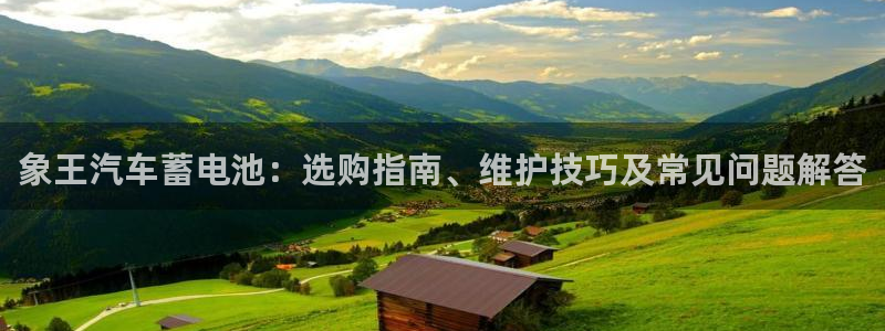 优发国际官网手机版下载