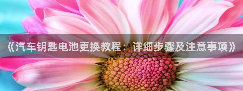 优发国际官网是多少号码