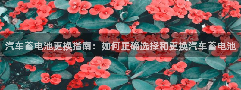 优发娱乐官网地址