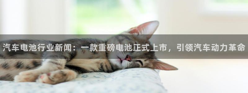 优发国际手机版客户端下载
