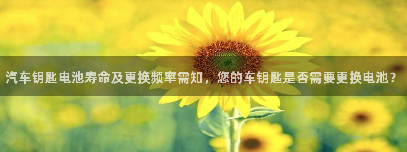 优发国际平台手机版下载安装