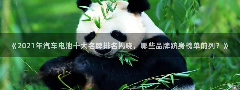优发国际官网下载app