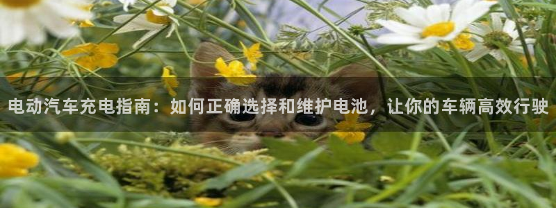 优发国际亚洲平台