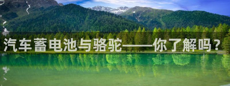 优发国际官网下载安装手机版