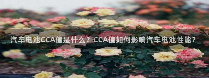 优发国际 干什么的