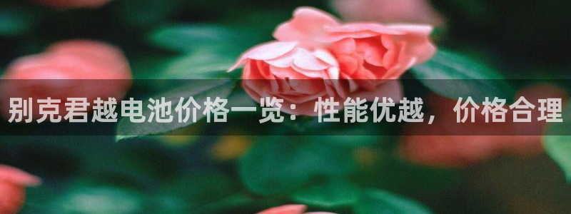优发国际是什么