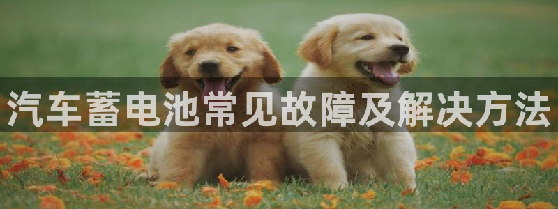 优发国际随优而动一触即发