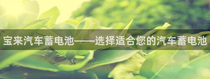 优发国际手机版客户端下载
