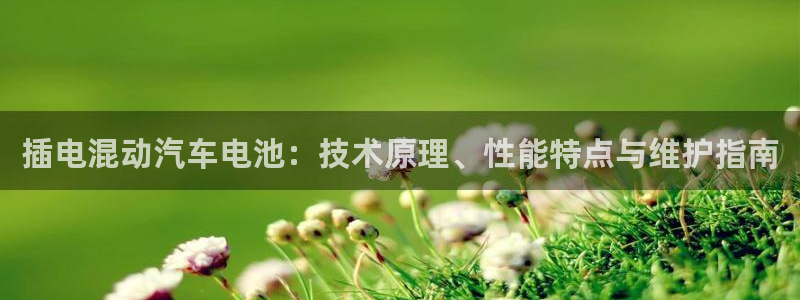 优发国际手机app下载安装官网