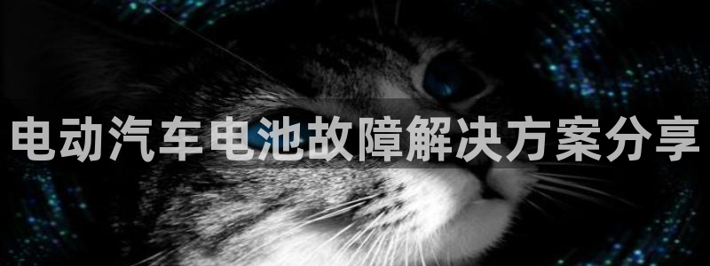 优发国际手机版客户端下载安装