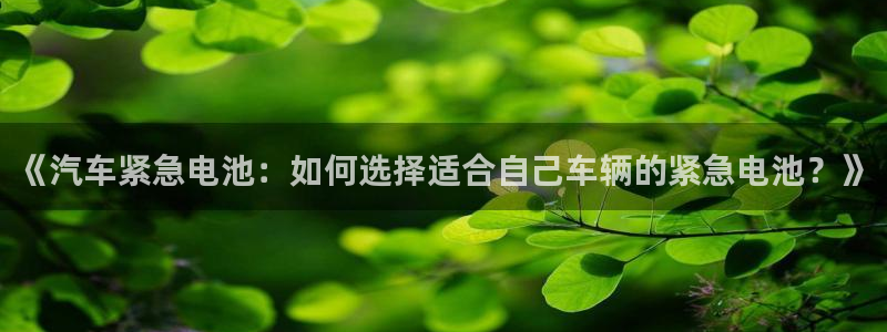 优发国际游戏官方网站入口
