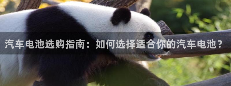 优发国际官方网平台电话