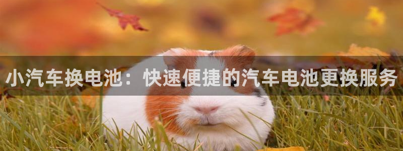优发国际是大平台吗是真的吗