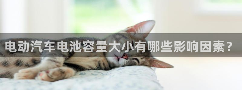 优发国际官方下载app