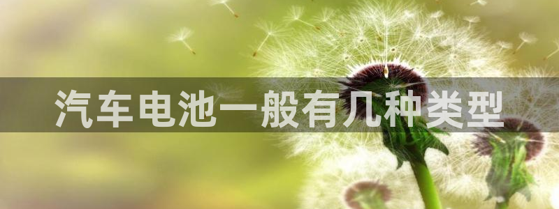 优发国际下载安装