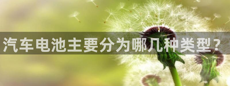 优发国际平台g8