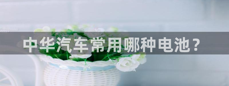 优发国际多少钱
