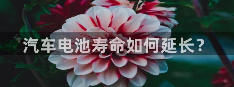 优发国际随优而动一触即发