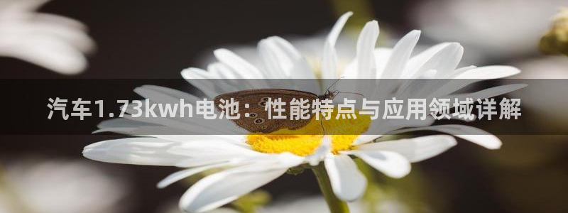 优发国际平台