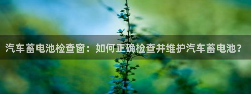 优发国际手机app下载安装