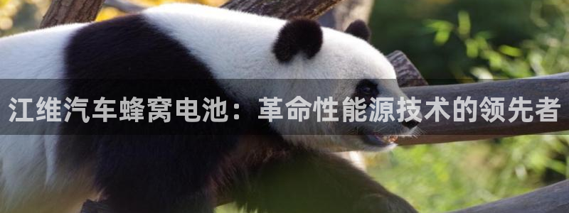 优发国际网官网17w80是什么