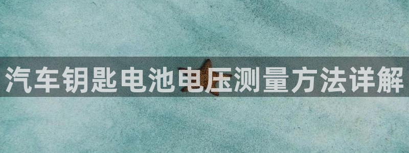 优发国际官网平台