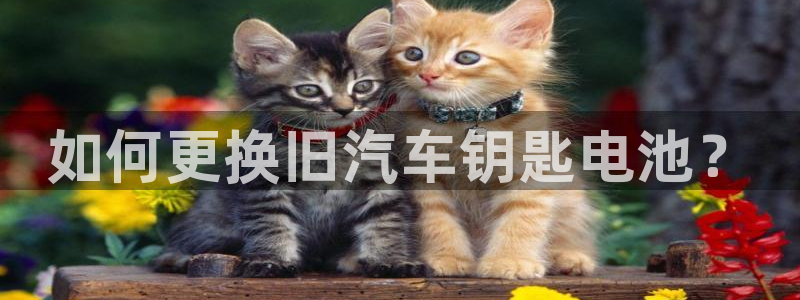 优发国际是合法的吗
