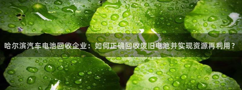 优发国际手机客户端下载安装