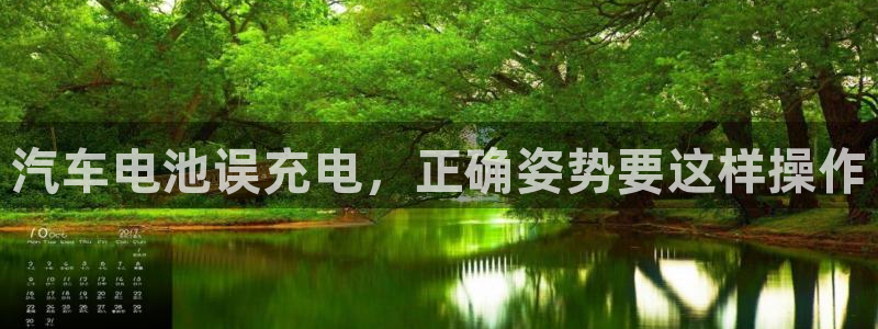 优发国际网官网17w80是什么：汽车电池误充电，正确姿势要这样操作