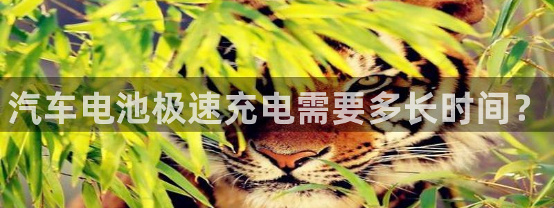 优发国际平台u8