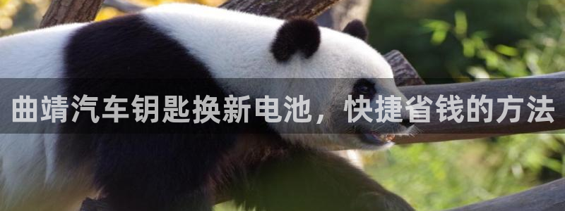 优发国际官网首页入口