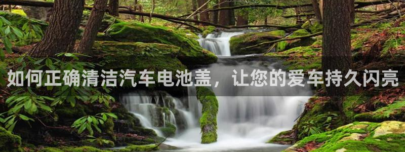优发国际手机版下载官网