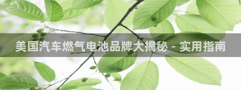优发国际官网入口app下载