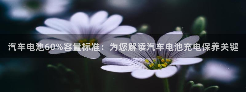 优发国际手机客户端下载安装手机版