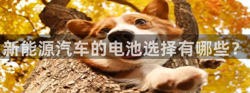优发国际官网手机版代理
