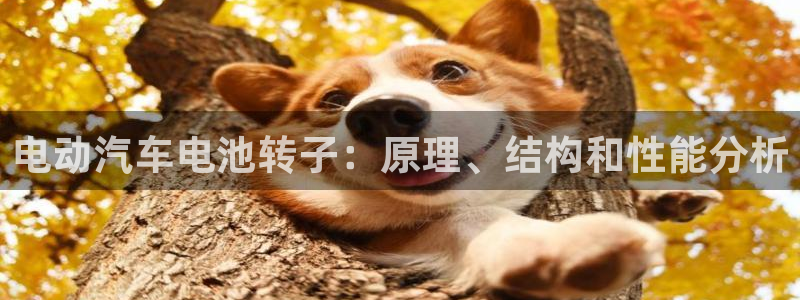 优发国际集团股份有限公司招聘