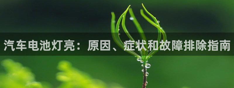 优发国际手机版客户端下载安装