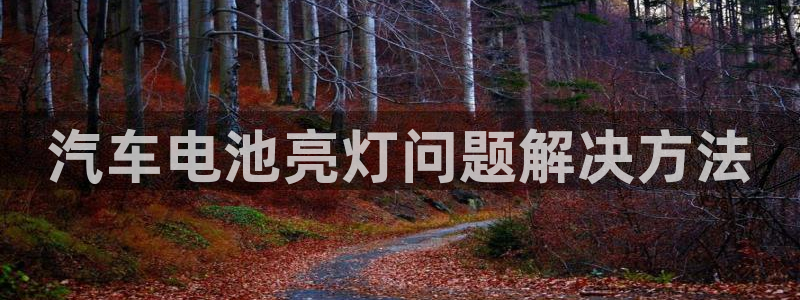 优发国际平台u8是什么软件