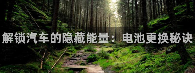 优发国际怎么样