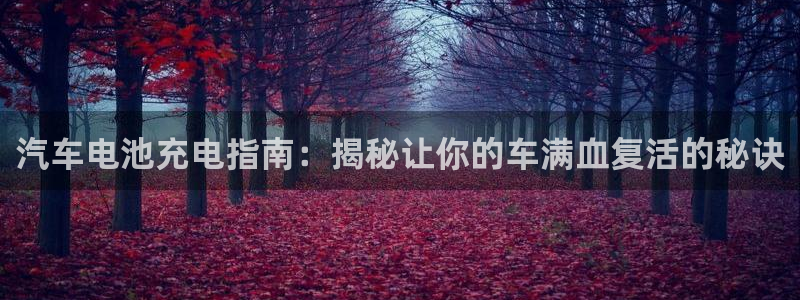 优发国际合并到哪里了