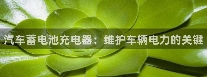 优发游戏官网