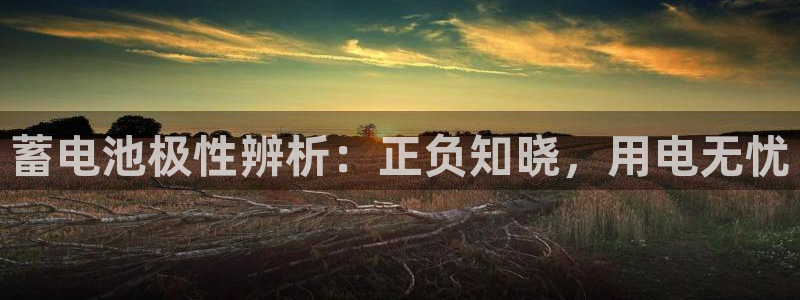 优发国际平台u8怎么样可靠吗