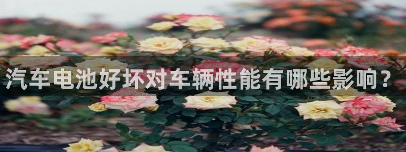 优发国际登录k8