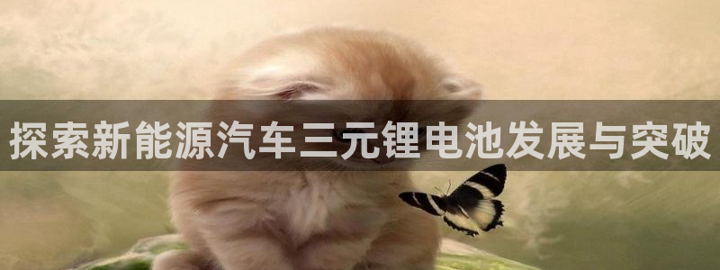 优发国际怎么样