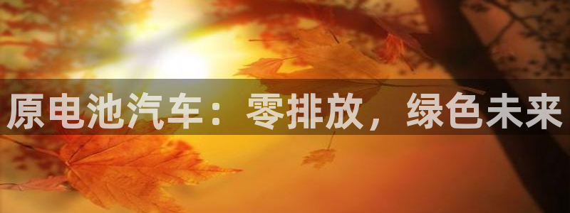 优发国际网站