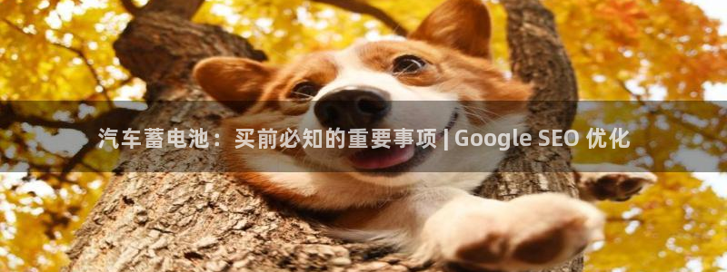 优发国际平台app下载