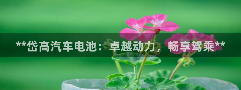 优发国际下载安装