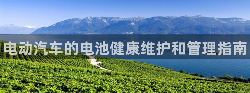 优发国际游戏n