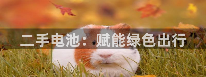 优发国际平台app下载