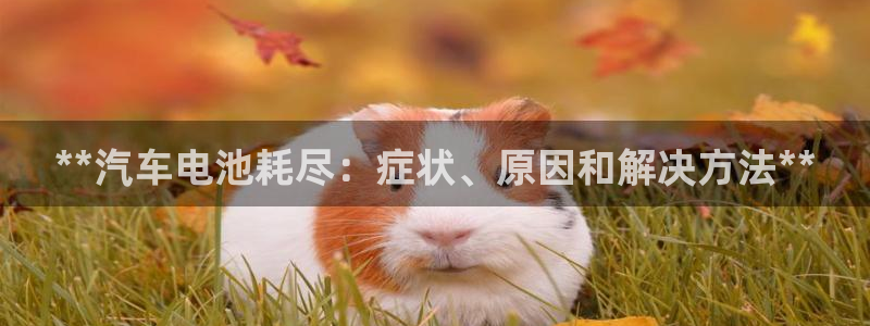 优发国际注册平台是什么